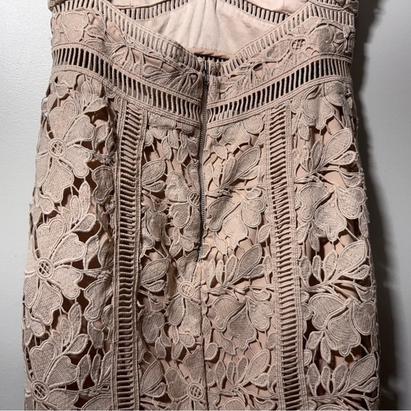 BARDOT Botanica Lace Bodycon Dress Size XS Feminine Wedding Guest Cocktail Dress - Picture 8 of 13